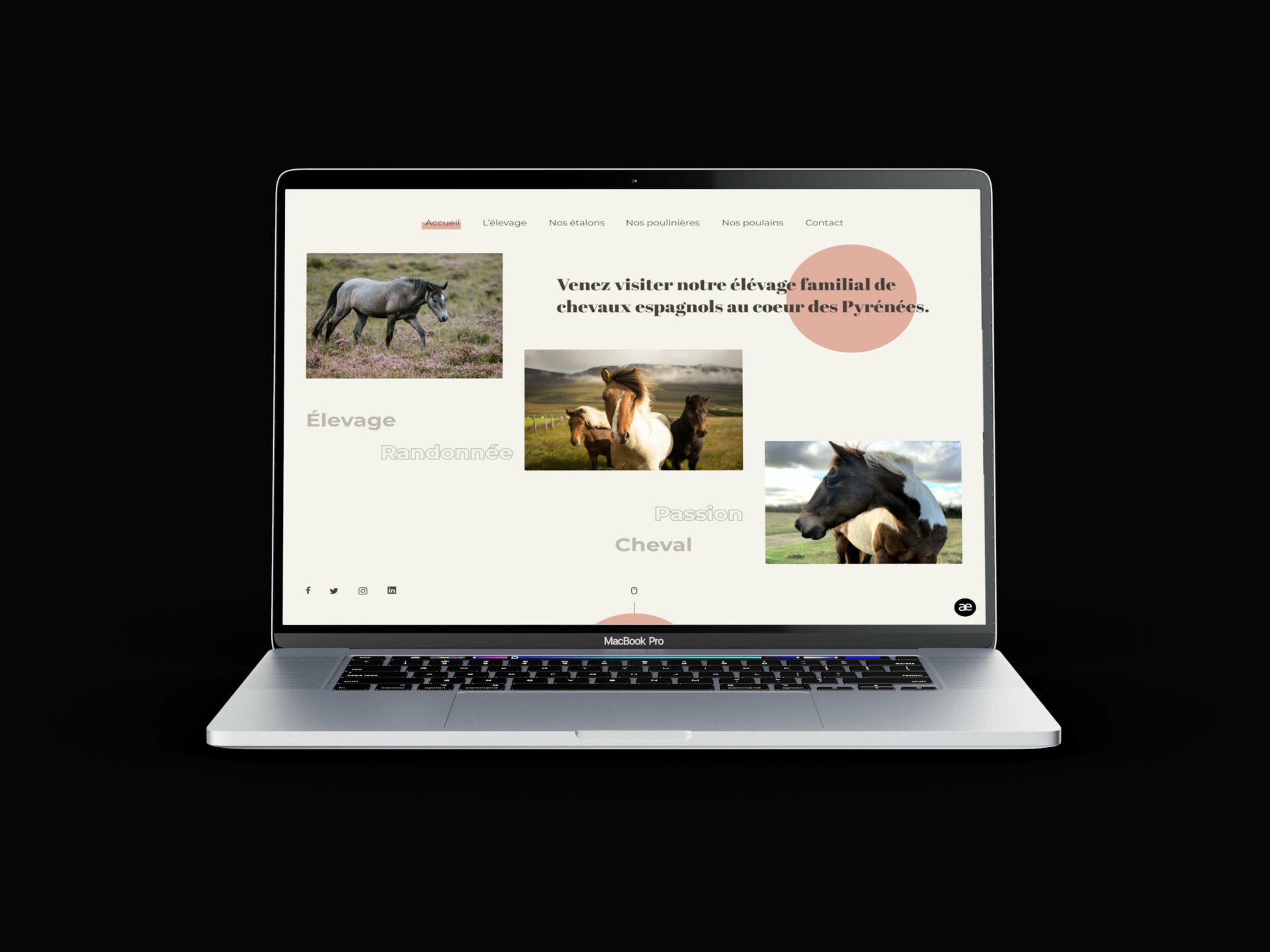 Horse breeding WordPress theme creation