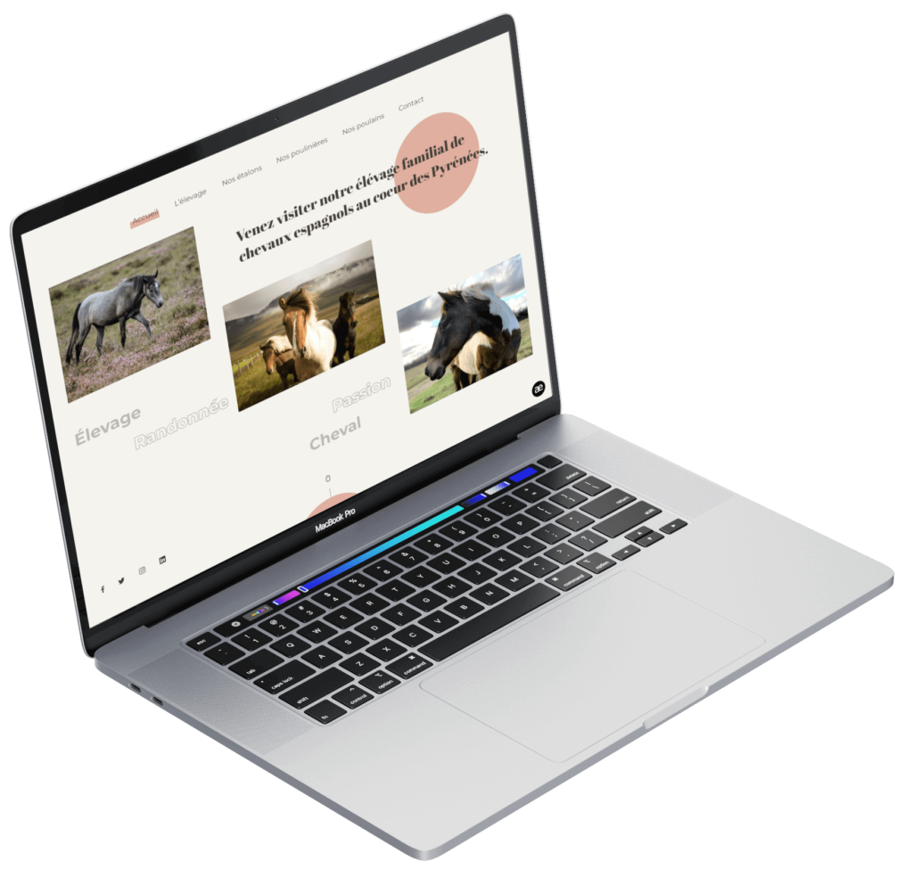 création site internet élevage équin professionnels du cheval alsace