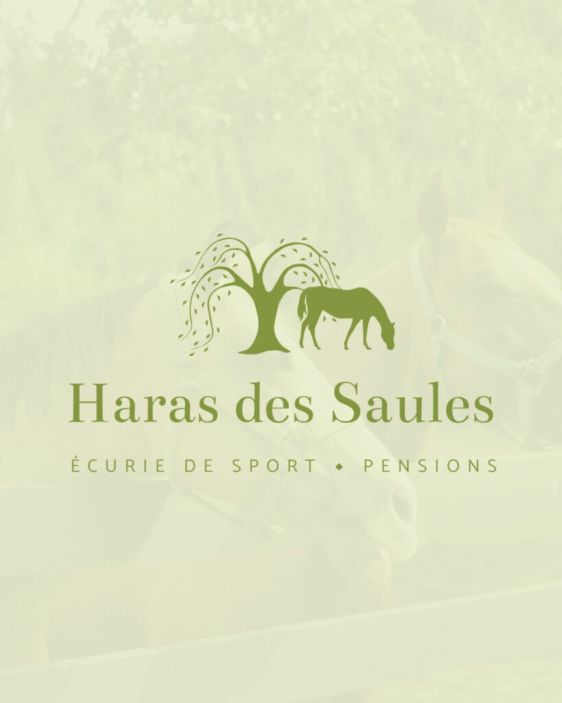 Conception d'identité visuelle pour les entreprises équestres, refonte du logo et du branding du Haras des Saules par Elodie Atanley