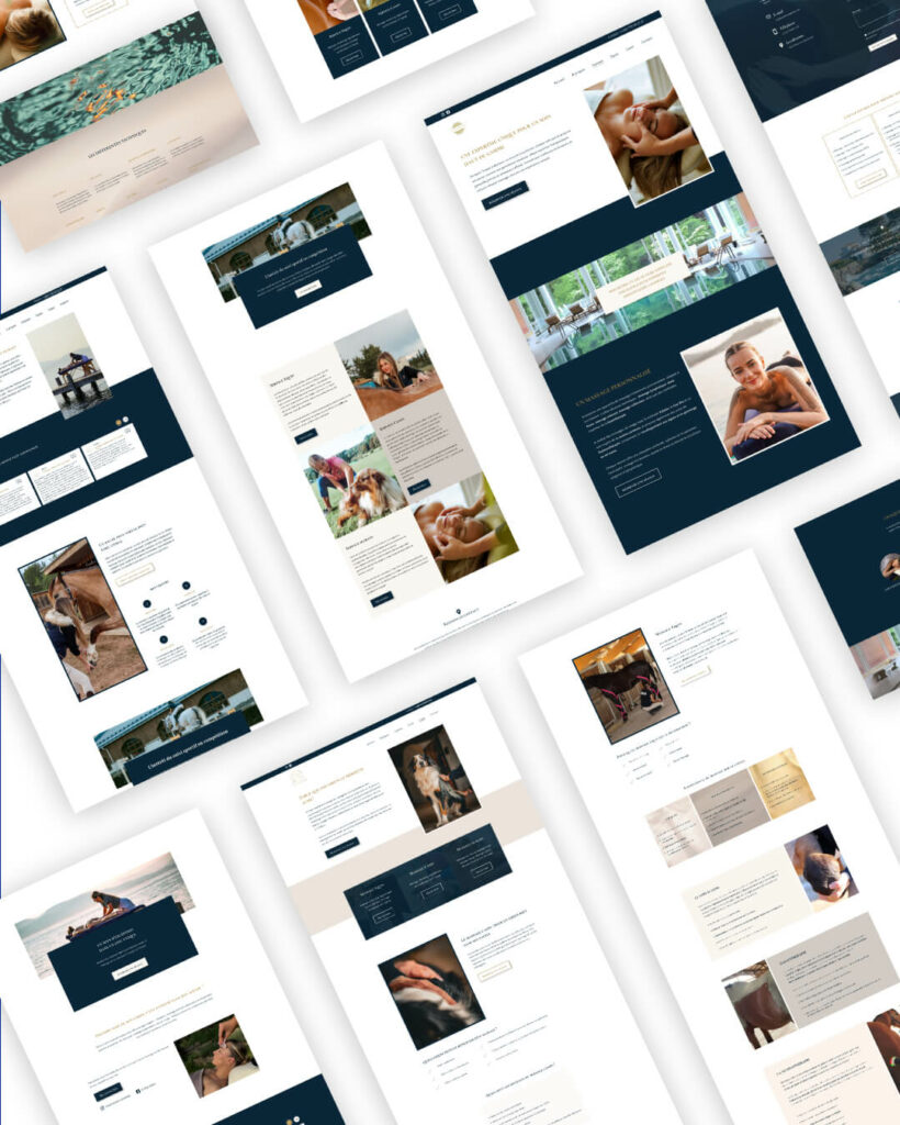 Personnalisation de template de site vitrine pour masseur équin réalisé pour VL Physioform