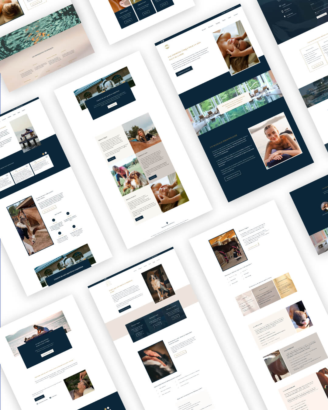 Personnalisation de template de site vitrine pour masseur équin réalisé pour VL Physioform