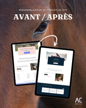 template de site internet pour équipreneur et ecurie active