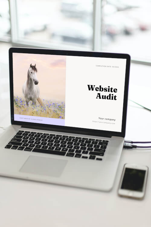 What you will get with a Website Audit